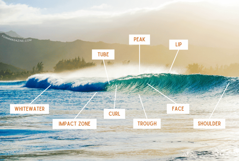 Getting to Know the Parts of a Surf Wave